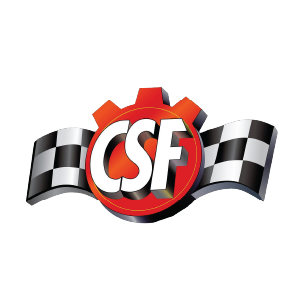 CSF